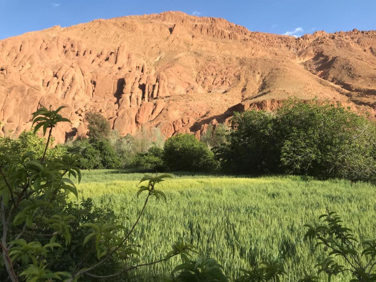 Maison D'hote Amazir Boumalne Buitenkant foto